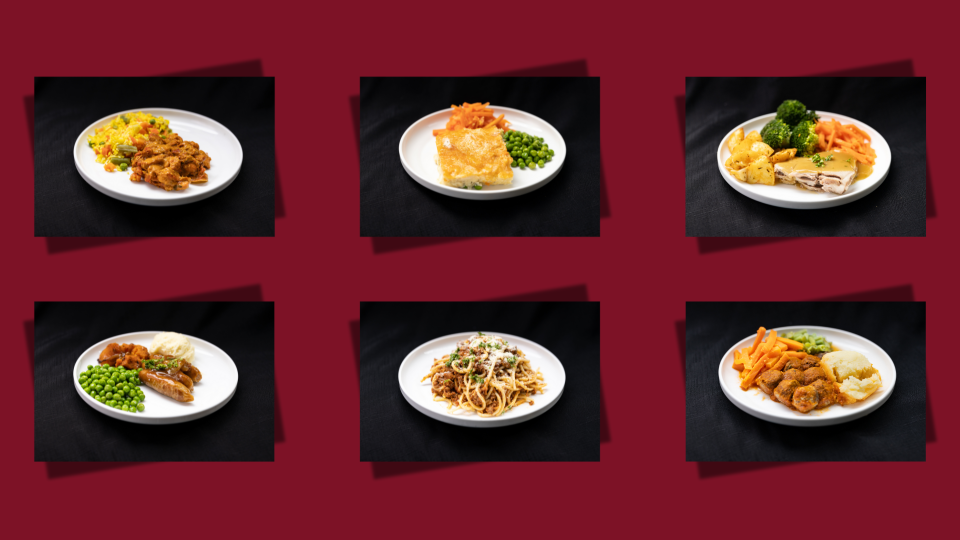 meal-samples-food-services sample meals at MHP
